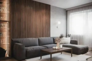 WPC wall panels with mordern design